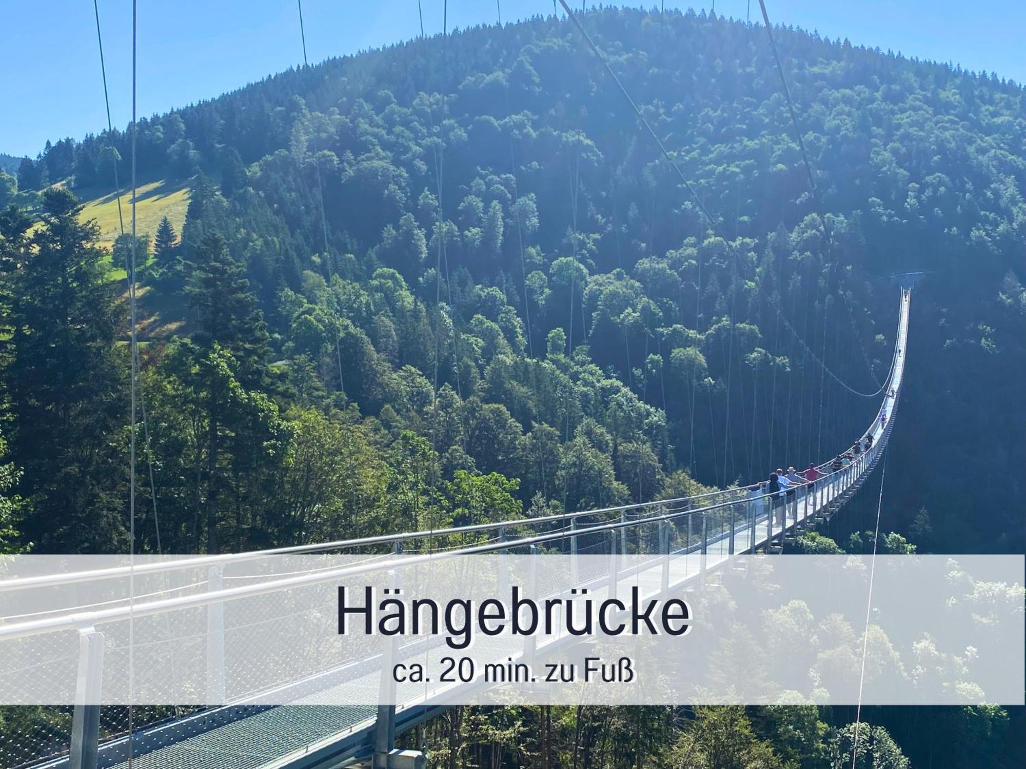 Herzgruen Direkt An Traumhaften Wanderwegen Balkon Mit Toller Aussicht Sauna Im Haus Tiefgarage E-Ladestation Todtnauberg Εξωτερικό φωτογραφία