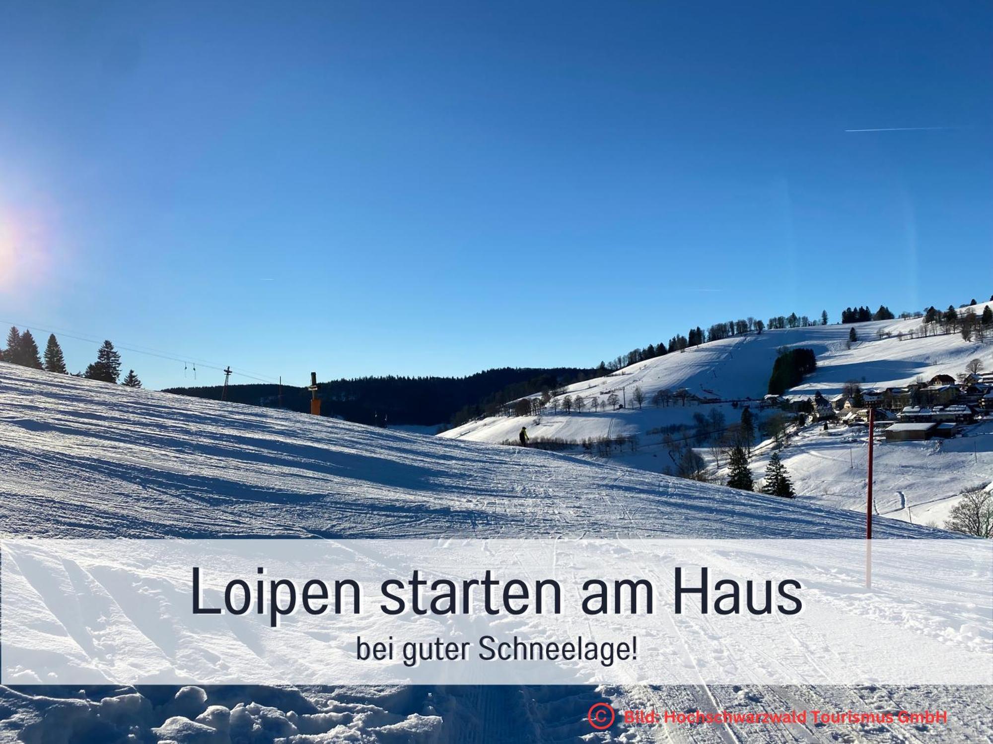 Herzgruen Direkt An Traumhaften Wanderwegen Balkon Mit Toller Aussicht Sauna Im Haus Tiefgarage E-Ladestation Todtnauberg Εξωτερικό φωτογραφία