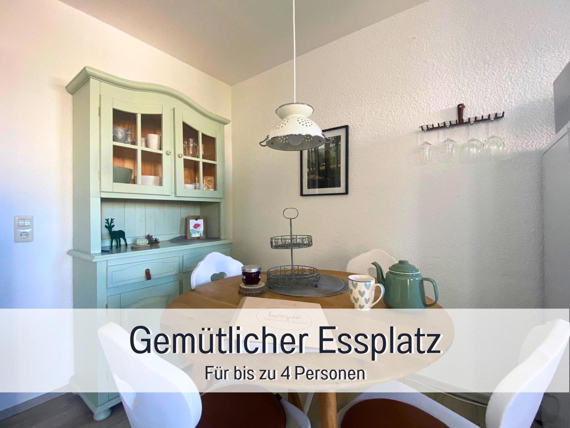 Herzgruen Direkt An Traumhaften Wanderwegen Balkon Mit Toller Aussicht Sauna Im Haus Tiefgarage E-Ladestation Todtnauberg Εξωτερικό φωτογραφία