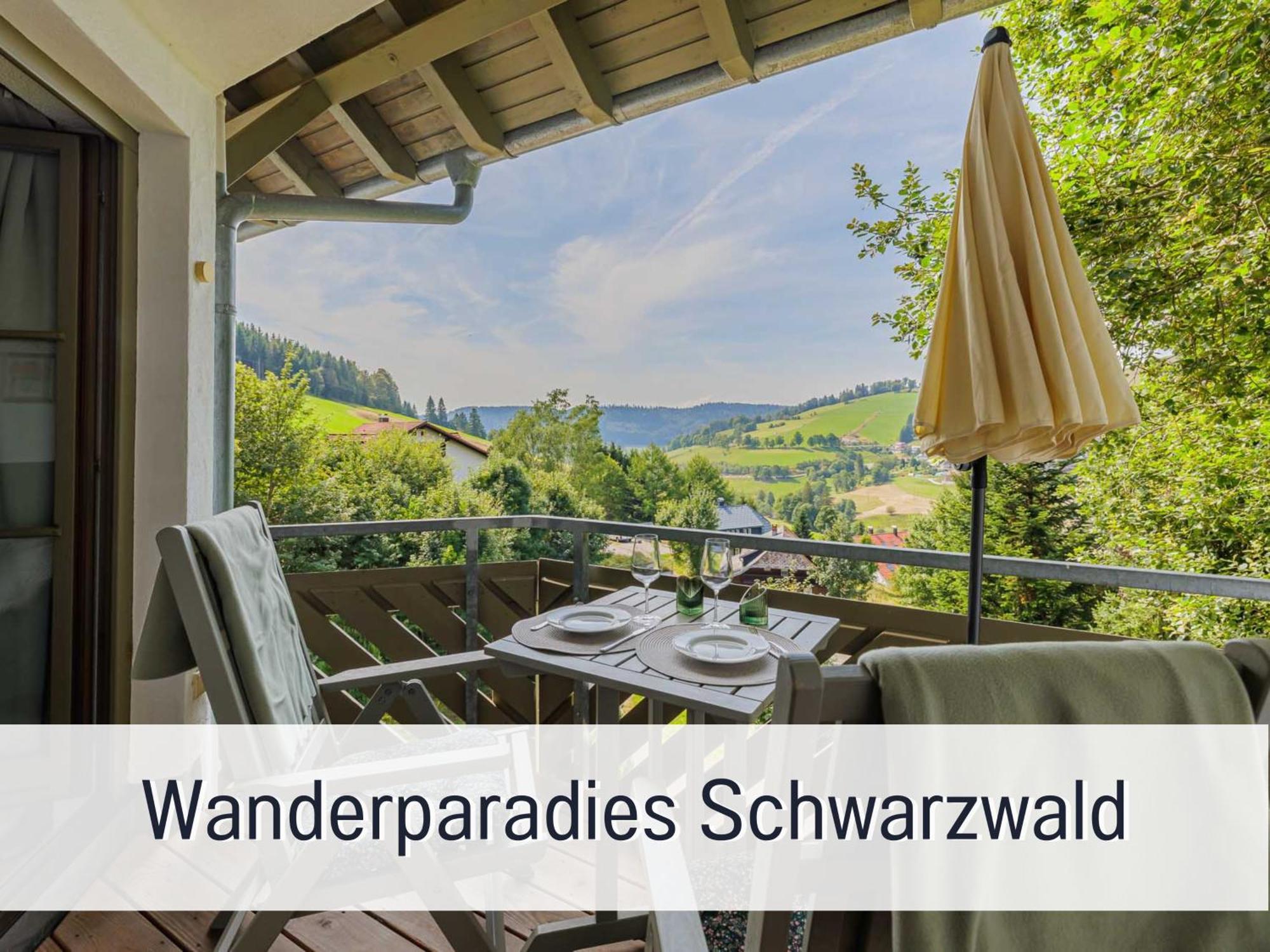 Herzgruen Direkt An Traumhaften Wanderwegen Balkon Mit Toller Aussicht Sauna Im Haus Tiefgarage E-Ladestation Todtnauberg Εξωτερικό φωτογραφία